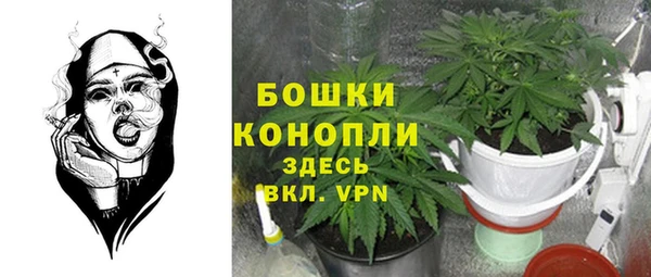 a pvp Аркадак